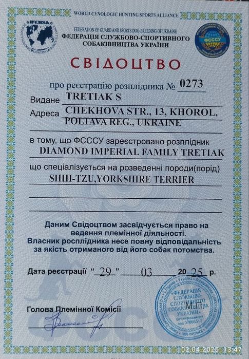 Маленький чистокровний кріпиш