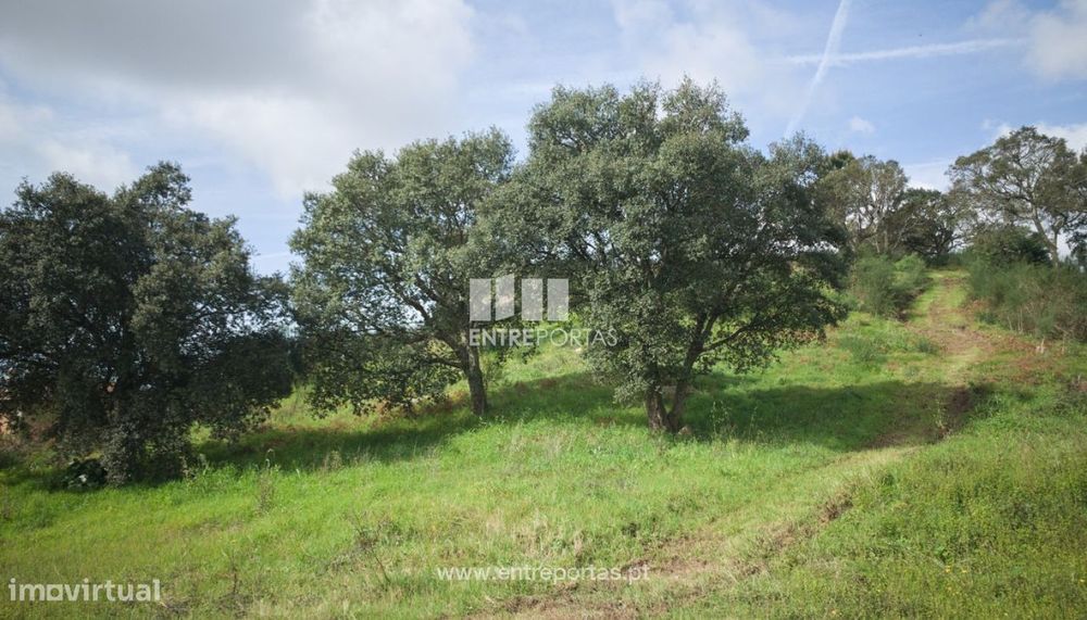 Venda de Terreno de construção, Serreleis, Viana do Castelo