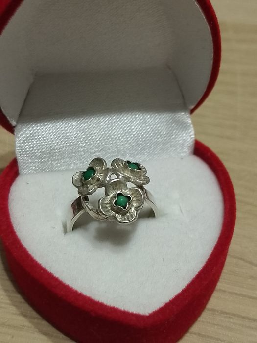 Warmet Resovia niezapominajki