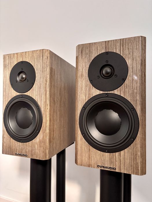 Dynaudio Special 40