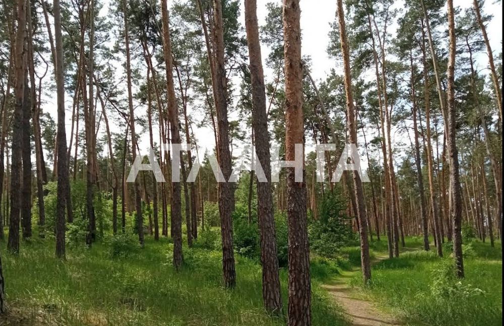 House by the address (area 288 m²) - Atlanta.ua - photo 3