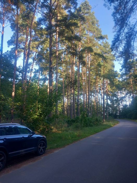 Działka leśna 1,27 h - Widok 4