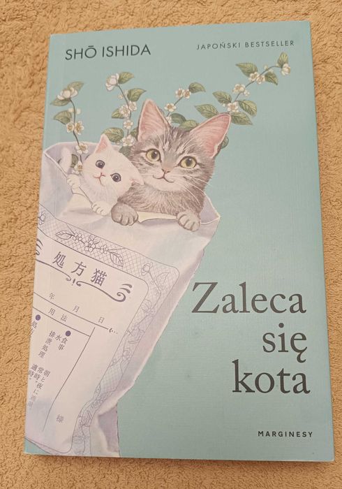 Zaleca się kota Shō Ishida