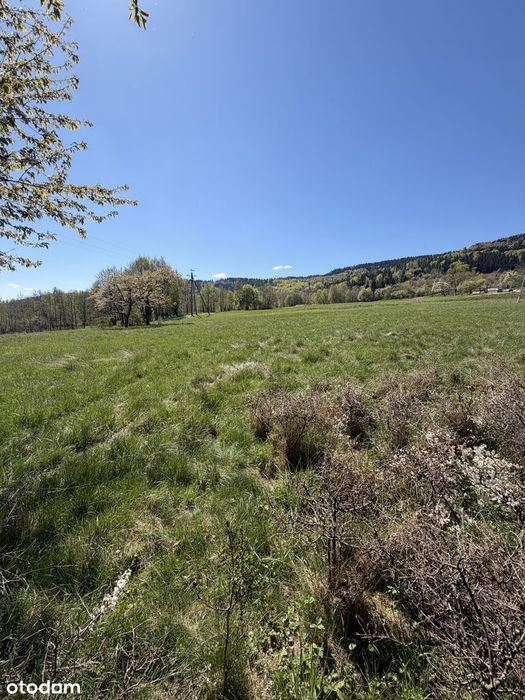 Działka budowlana 3056 m²  w Sudetach - Widok 6