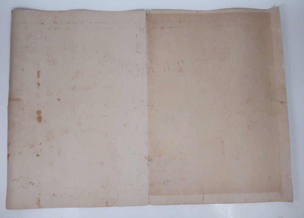 Diploma Regimento D Infantaria nº 8 (1882)