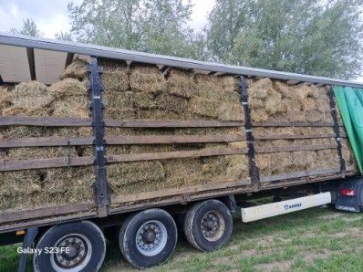 siano  kostki ściółka pokój 2025