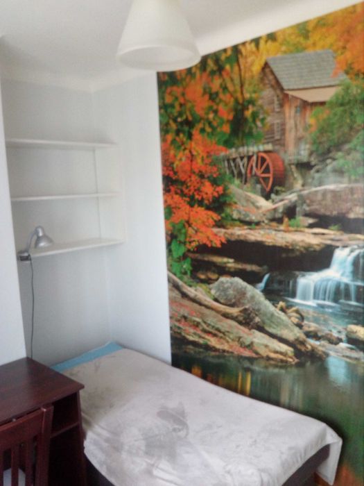 pokój do wynajęcia