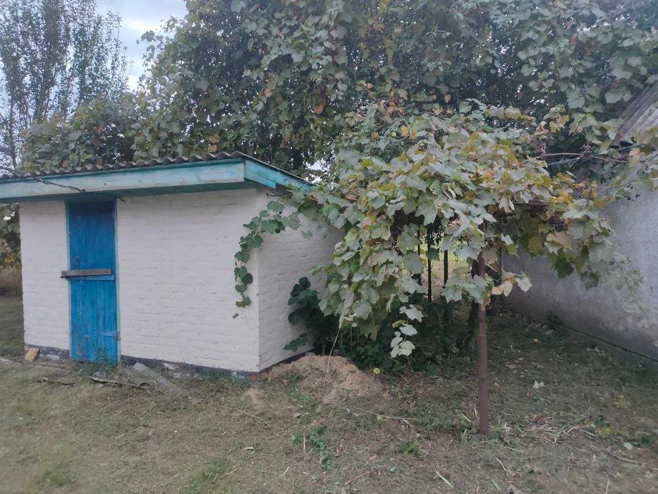 Приватний будинок