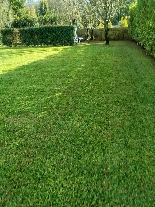 Manutenção e construção de jardins