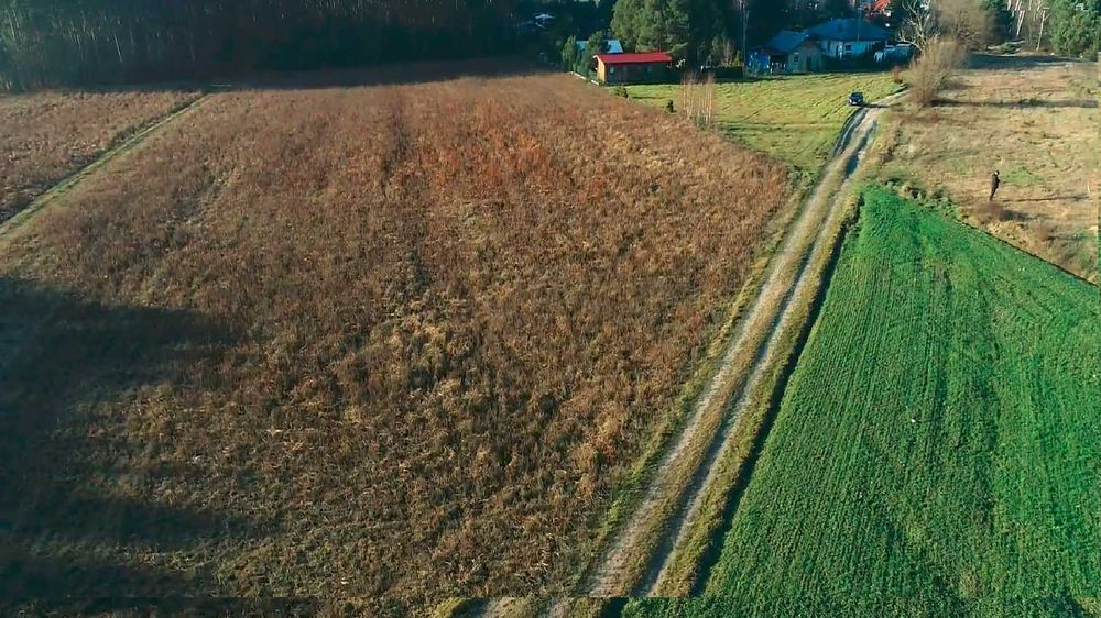Sprzedam działkę budowlaną pod lasem, w niedalekim sąsiedztwie zalewu