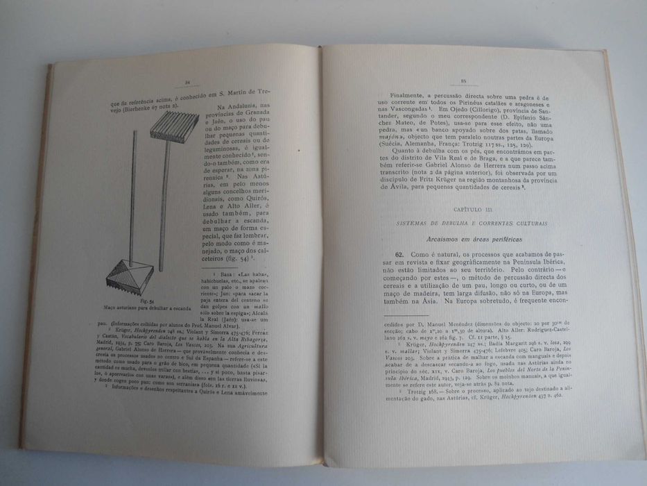 Coisas e palavras por José Gonçalo C Herculano de Carvalho