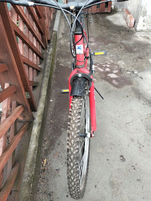 Rower dziecięcy damski 24