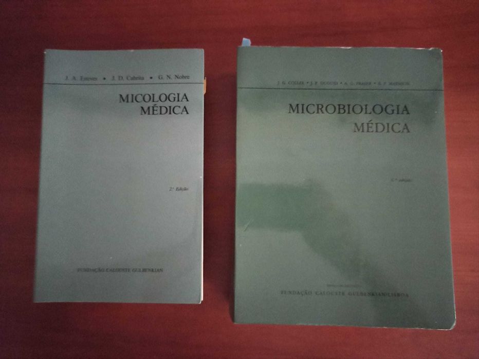 Livros e Português e em Inglês - Novas oportunidades de Leitura