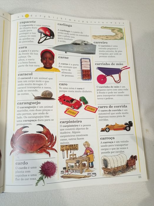 O meu primeiro dicionário - Betty Root