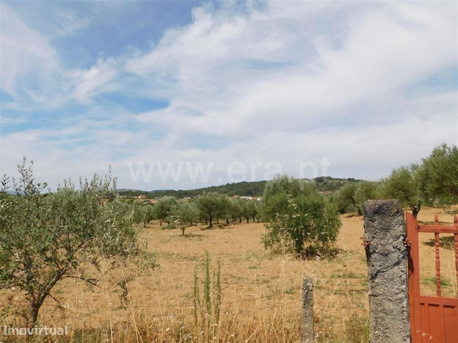Terreno / Fundão, Salgueiro — Três Povos, Castelo Branco