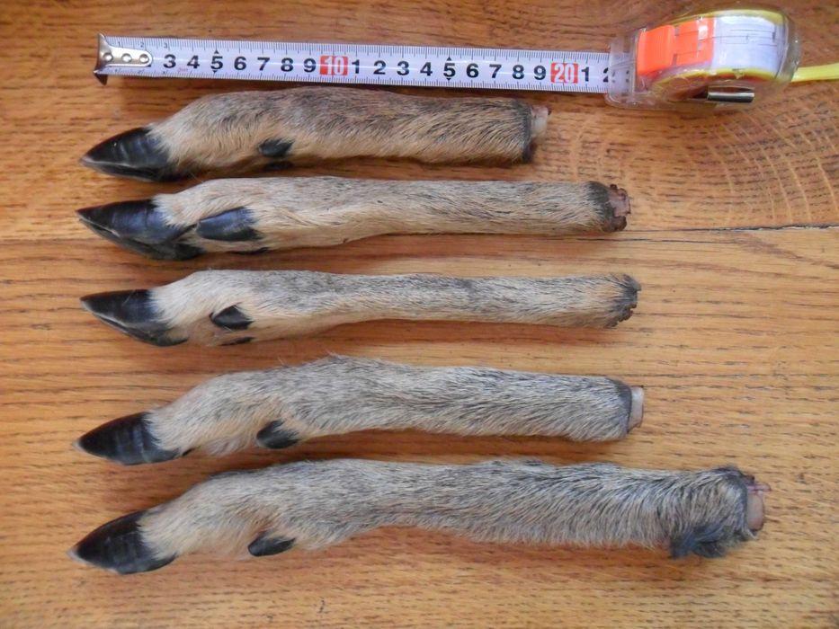 Козьи ножки ( козячі ніжки )