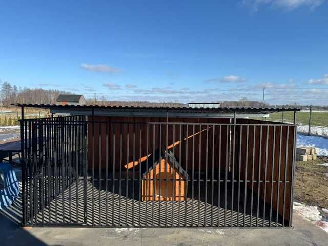 Kojec dla psa – solidny i wytrzymały box stalowy