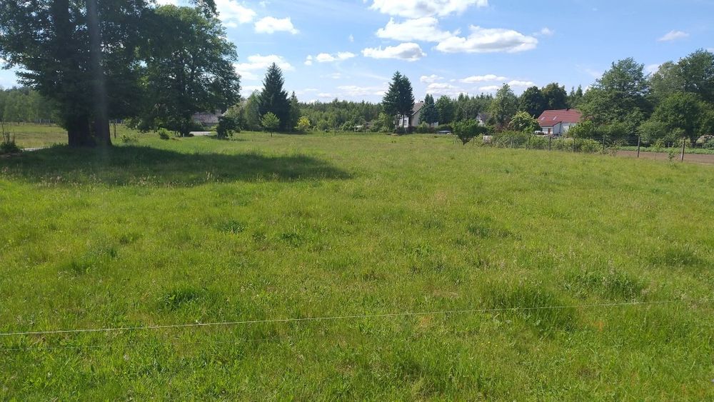 Działka budowlana w okolicy lasów