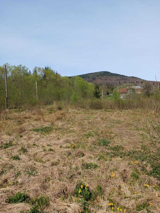 Земельна ділянка під забудову в с. Стара Гута_M