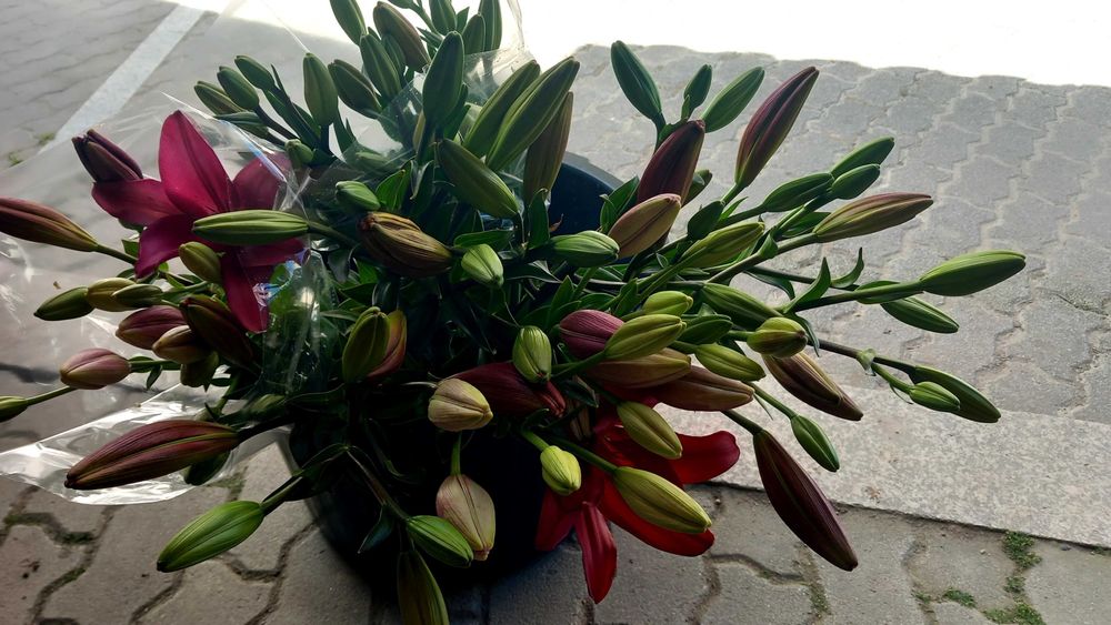 Venda de flores em viseu