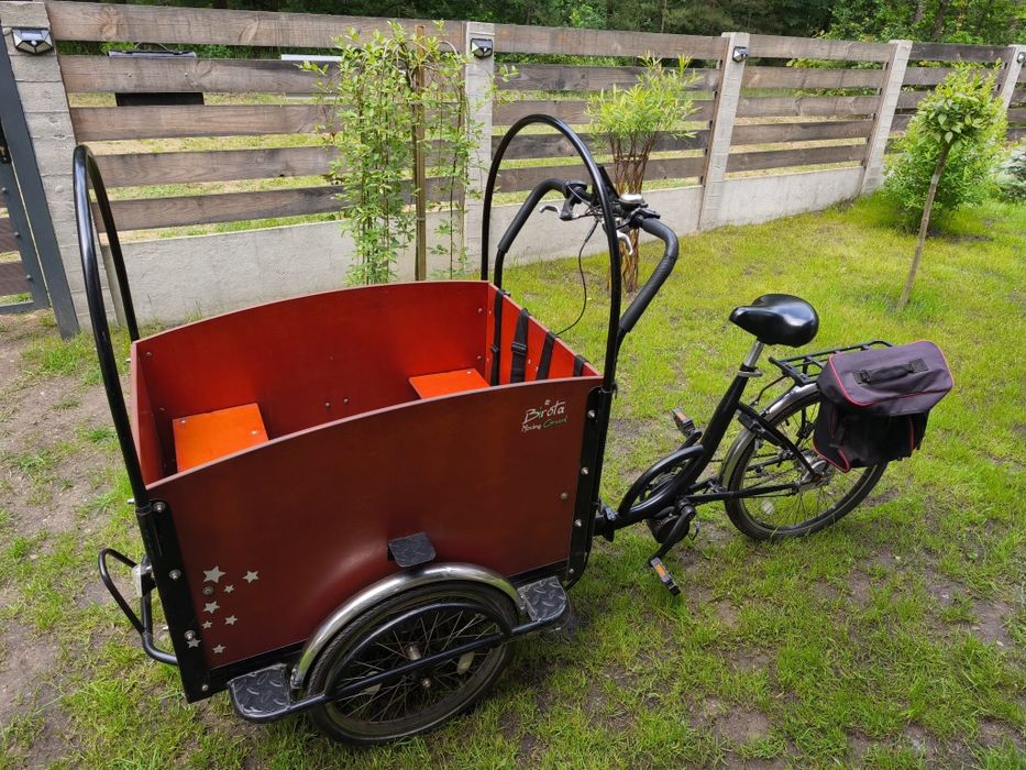 Rower cargo riksza elektryczna bafang