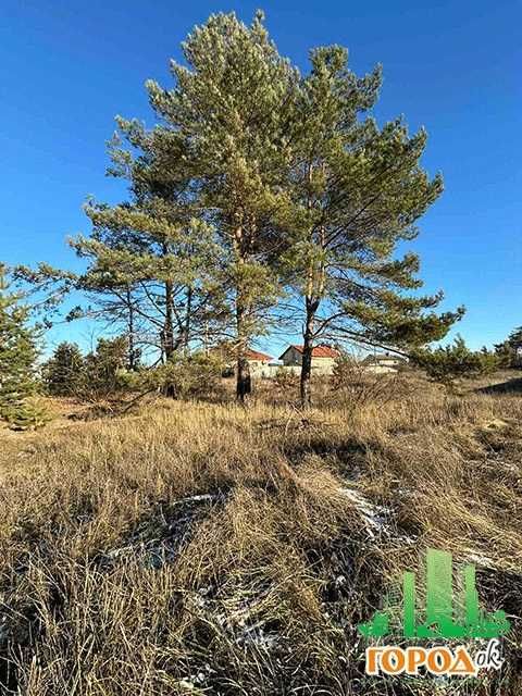 Ділянка село Сокирна неподалік Дніпра (300 метрів)