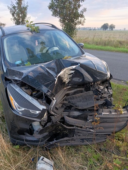 Ford escape 2.0 LPG uszkodzony