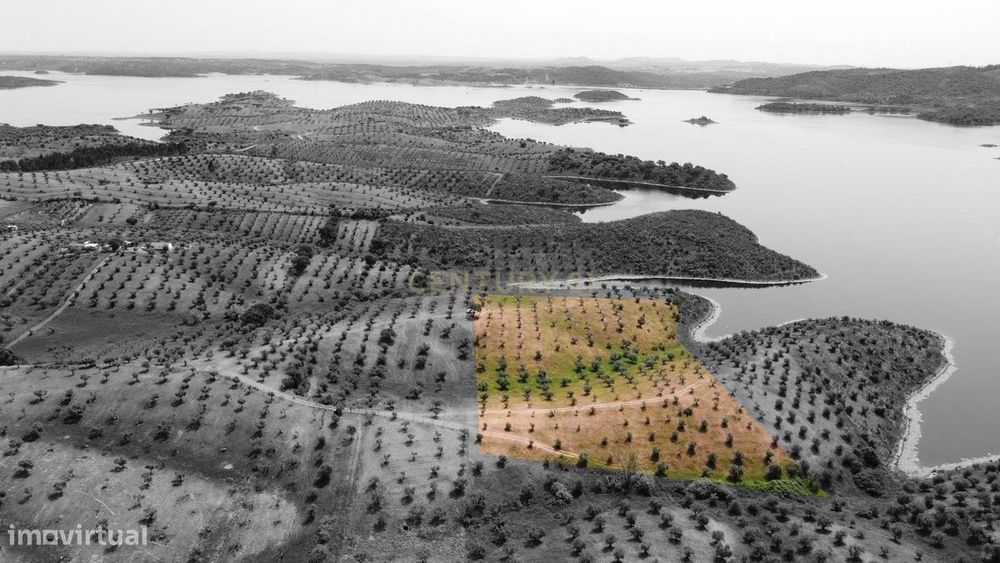 Terreno Rústico na Região de Portel, junto à Vila do Alqueva