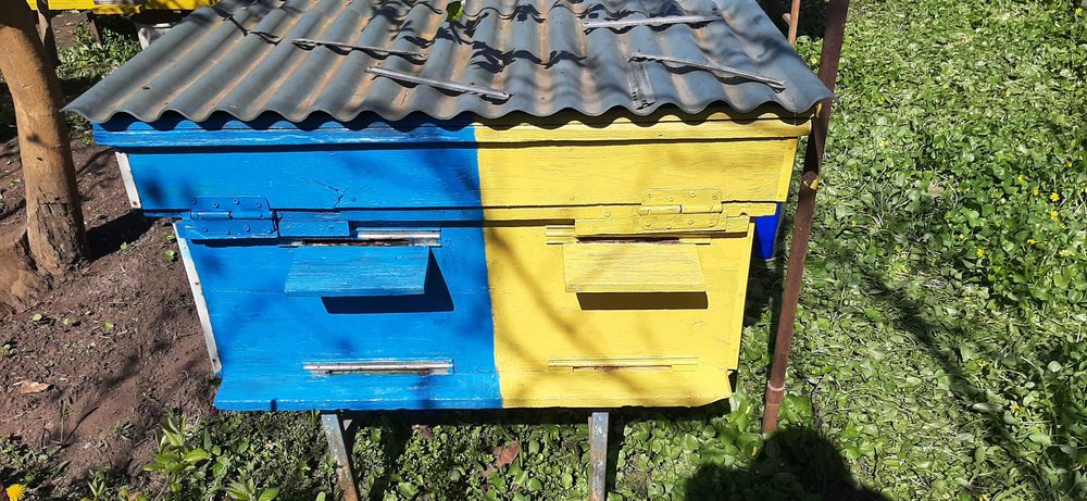 Терміново продам вулики!