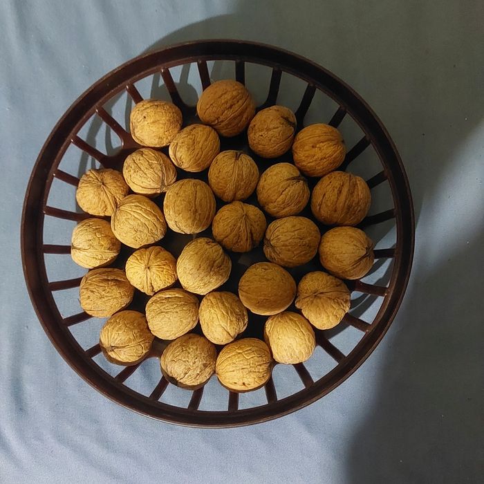 Sprzedam orzechy włoskie