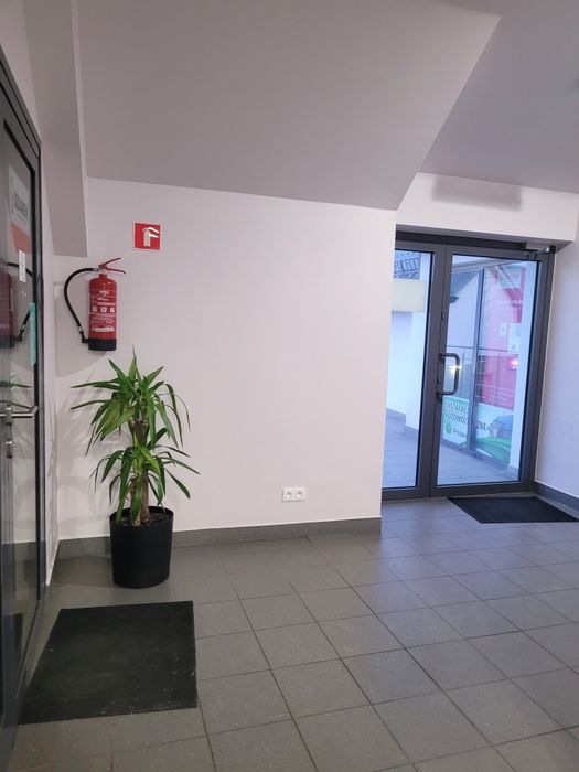 Lokal do wynajęcia