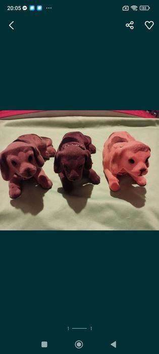 Piesek z ruszająca glowa