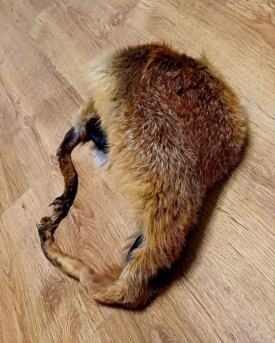 Czapka z lisa rudego