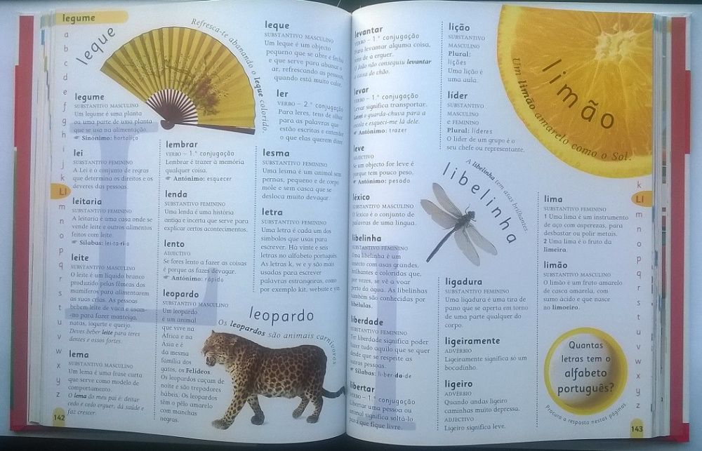 Dicionário - Primeiro Dicionário - Novo