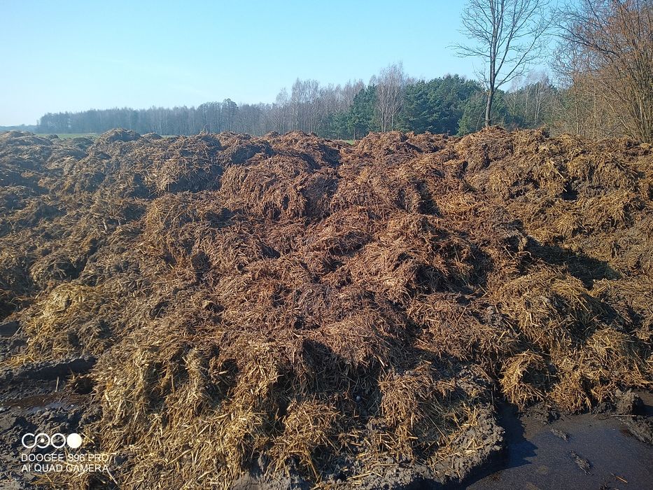 Sprzedam obornik transport