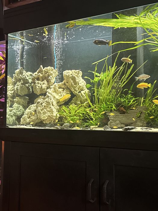 Akwarium zestaw 130x50x70