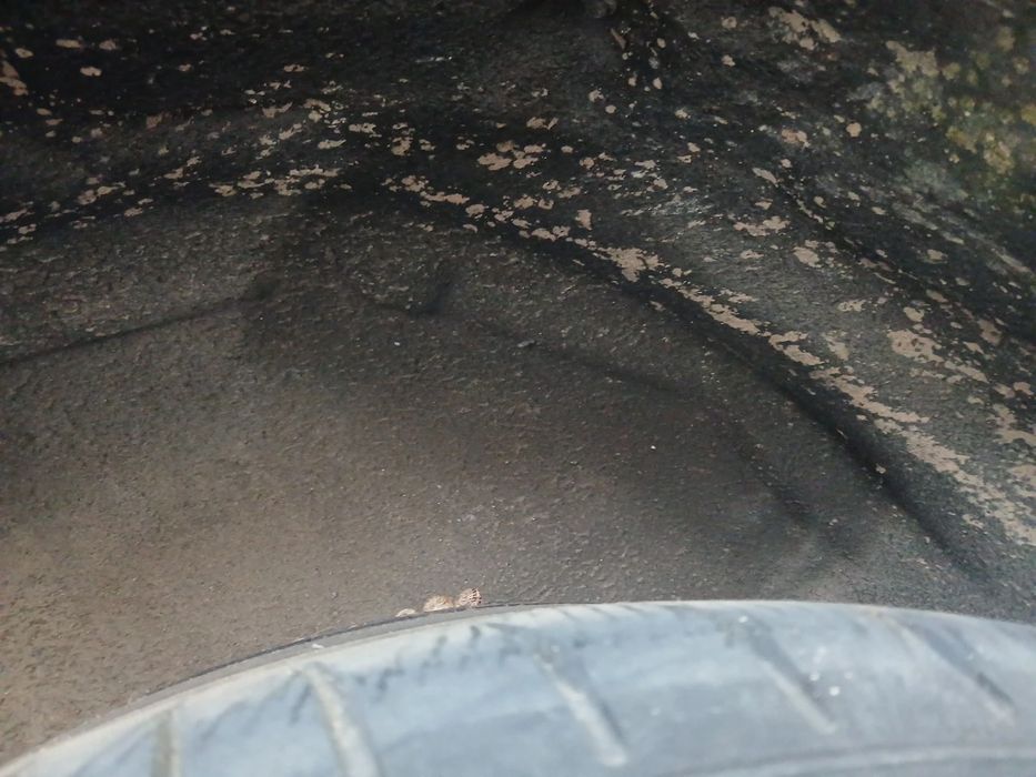 Cava roda trás direita BMW X6 (E71, E72)