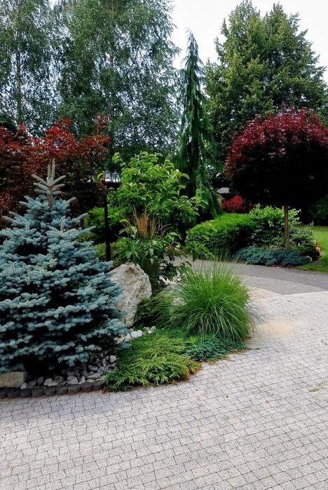 Ogrody - Brzeziny, Koluszki