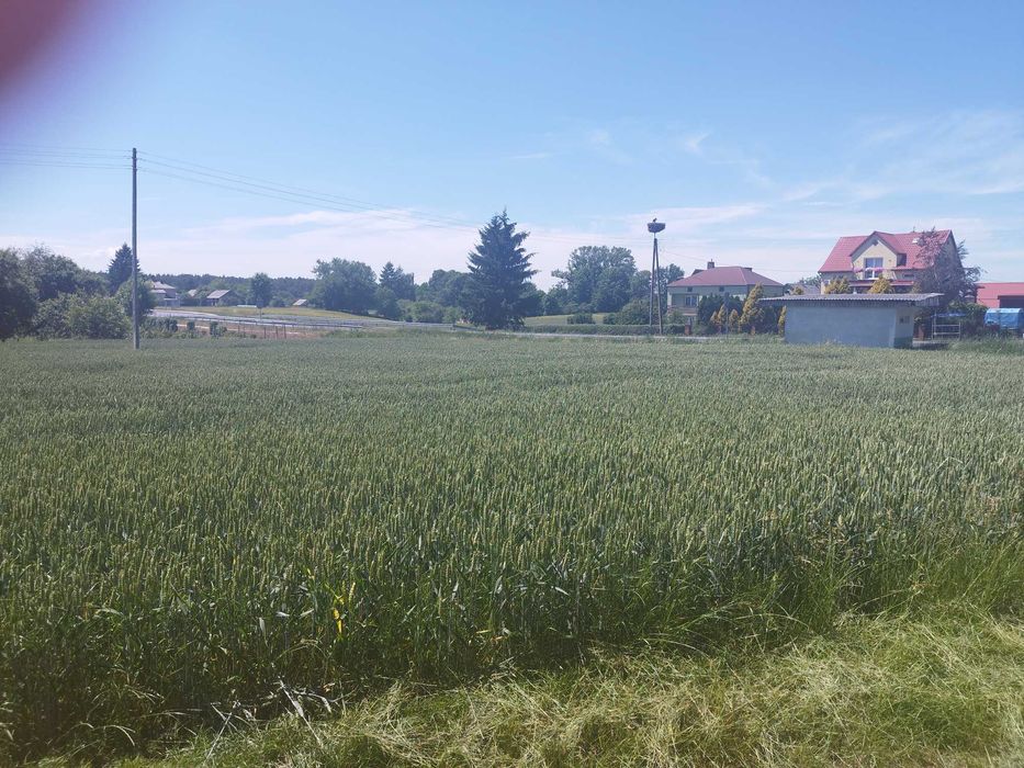 Siedlisko na sprzedaż 1,58 ha Wólka Orłowska