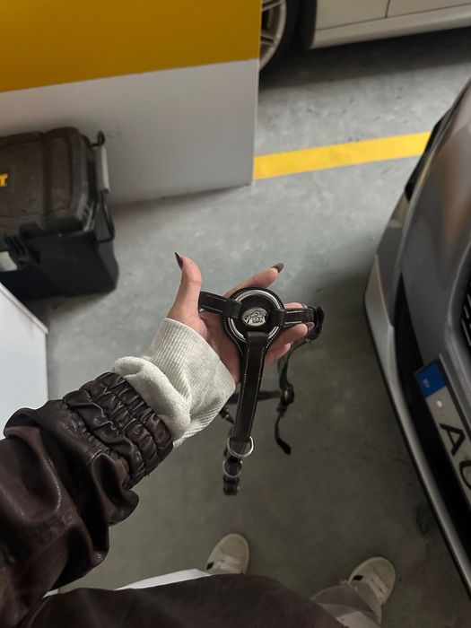 Peitoral jump’in wednesday