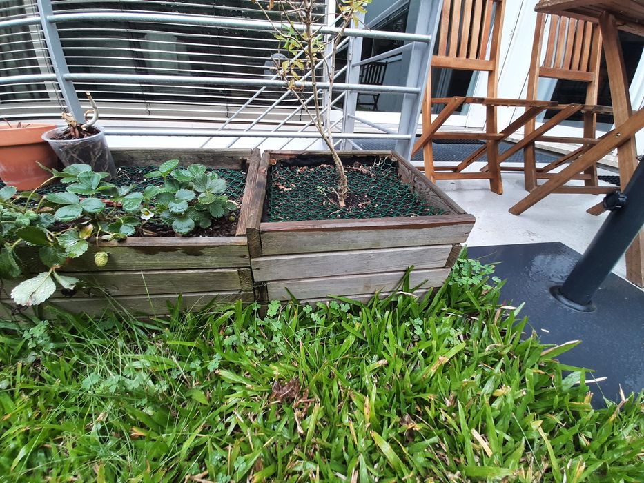 Dá-se 3 floreiras de madeira