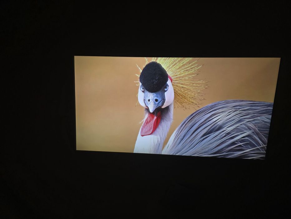 Projektor Benq W1300 full hd