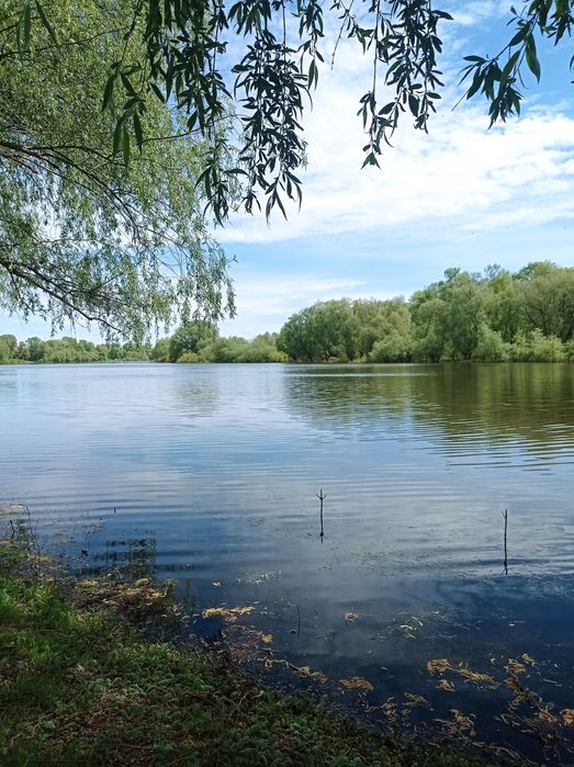 Оселя біля Чернігова. Поряд річка Десна. Є-ВІДНОВЛЕННЯ.