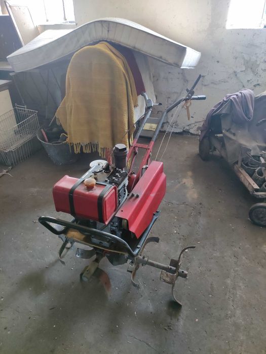 glebogryzarka motoblok mb-1, dzik