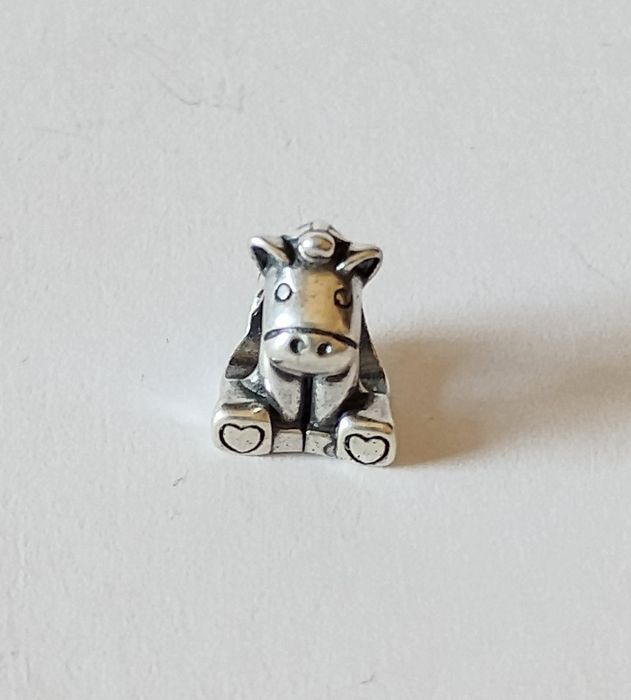 Eksluzywny srebrny charms