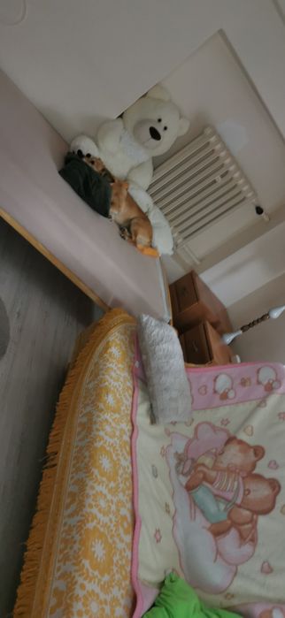Psi hotel u Halinki Rzeszów