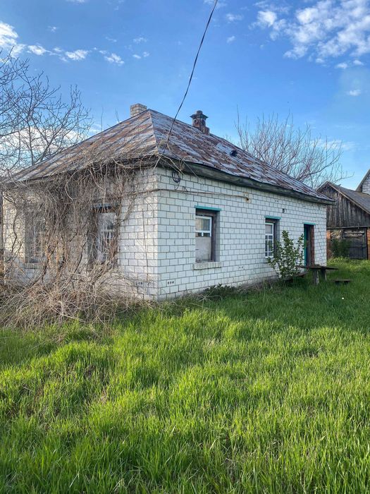 Будинок з приватизованим великим участком в с. Салтикова Дівиця