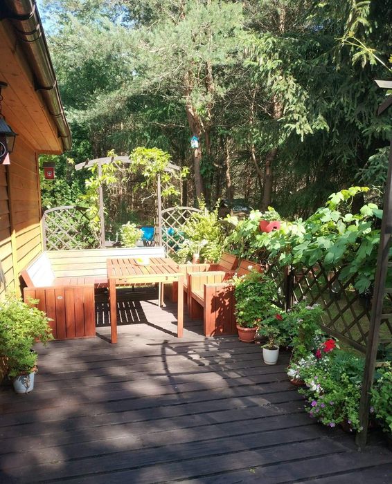 Ferie, wakacje, weekend,na Kaszubach w "Stokrotkowie",dom na wyłączn