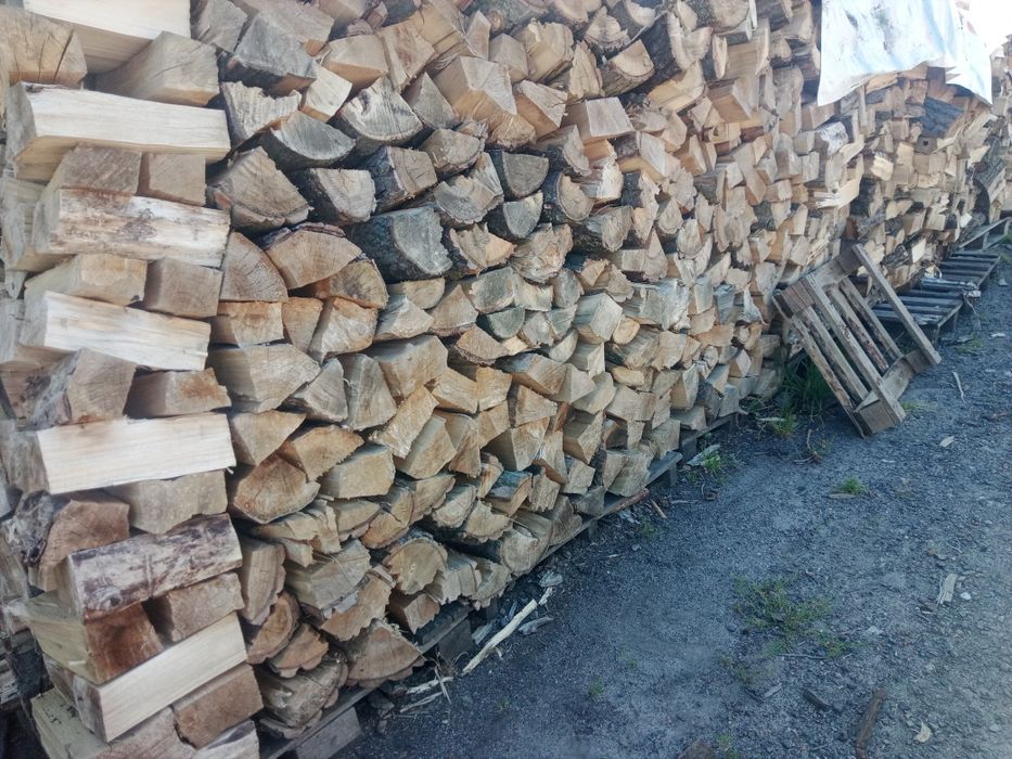 Drewno kominkowe, opałowe, na ognisko, rozpałka