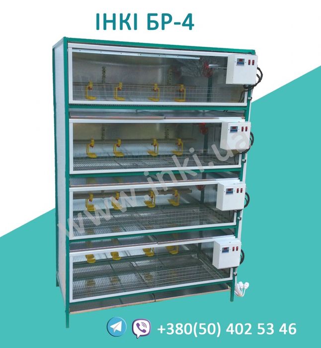 Брудер клетка для цыплят бройлера, кур несушки, перепелов. Разборной